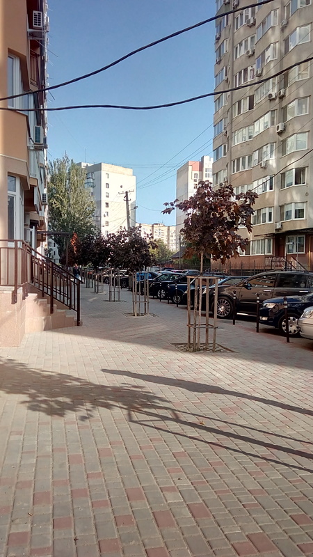 Sell 1-room apartment. Одесса, Костанди, 162 — photo 15